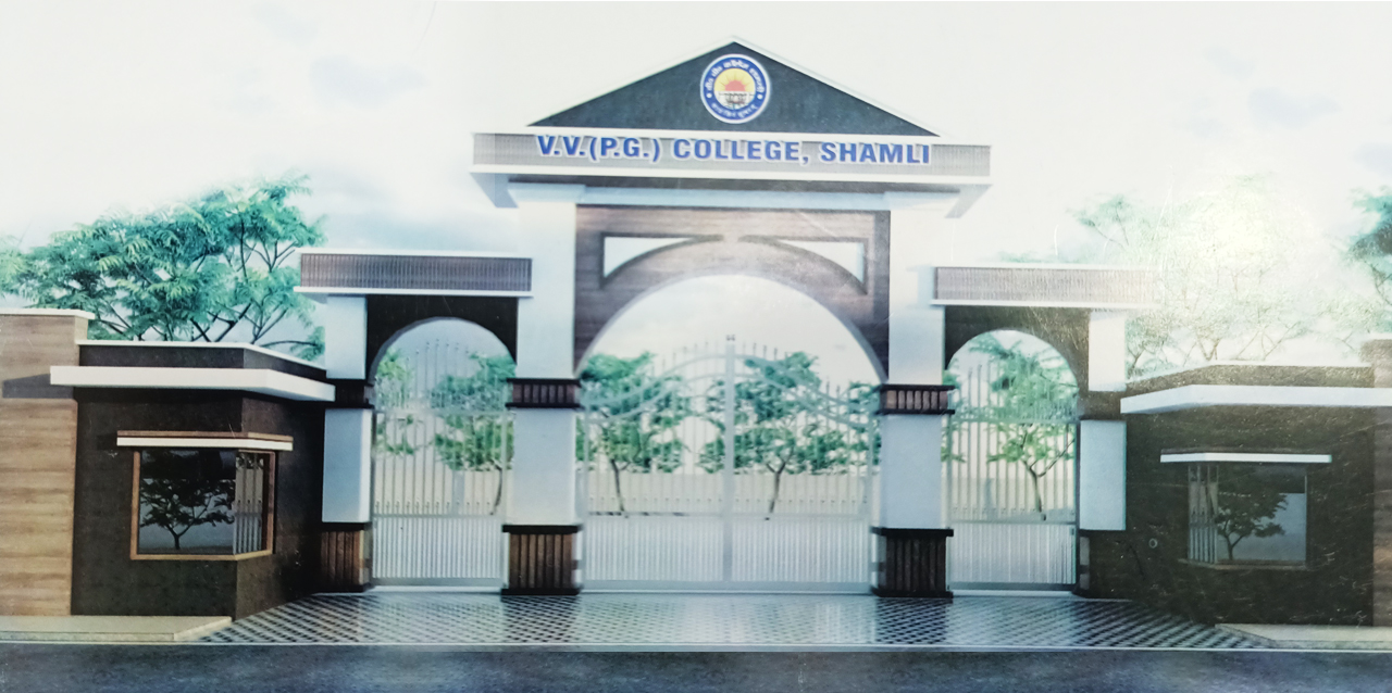 VV PG College